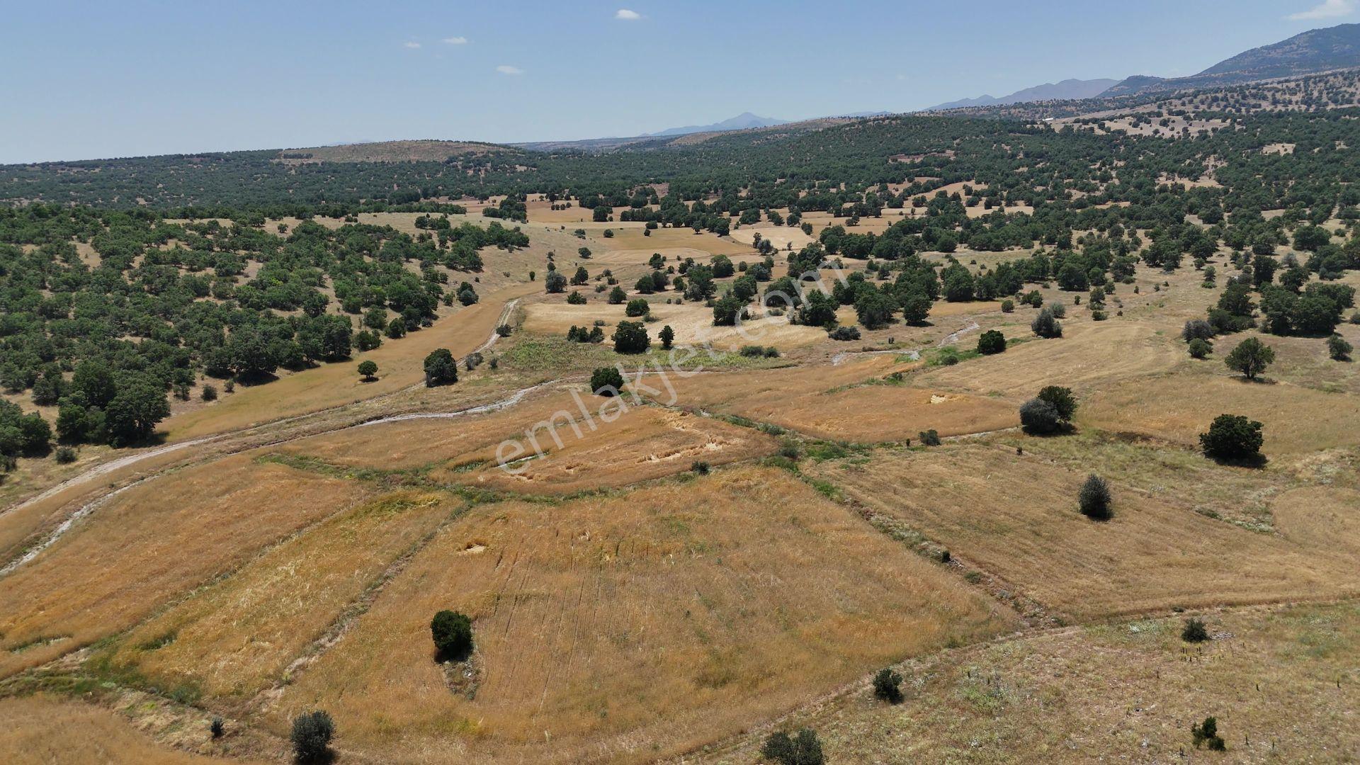 Meram Kilistra Mahallesi'nde Satılık 1549 M² Tarla — fotoğraf 4