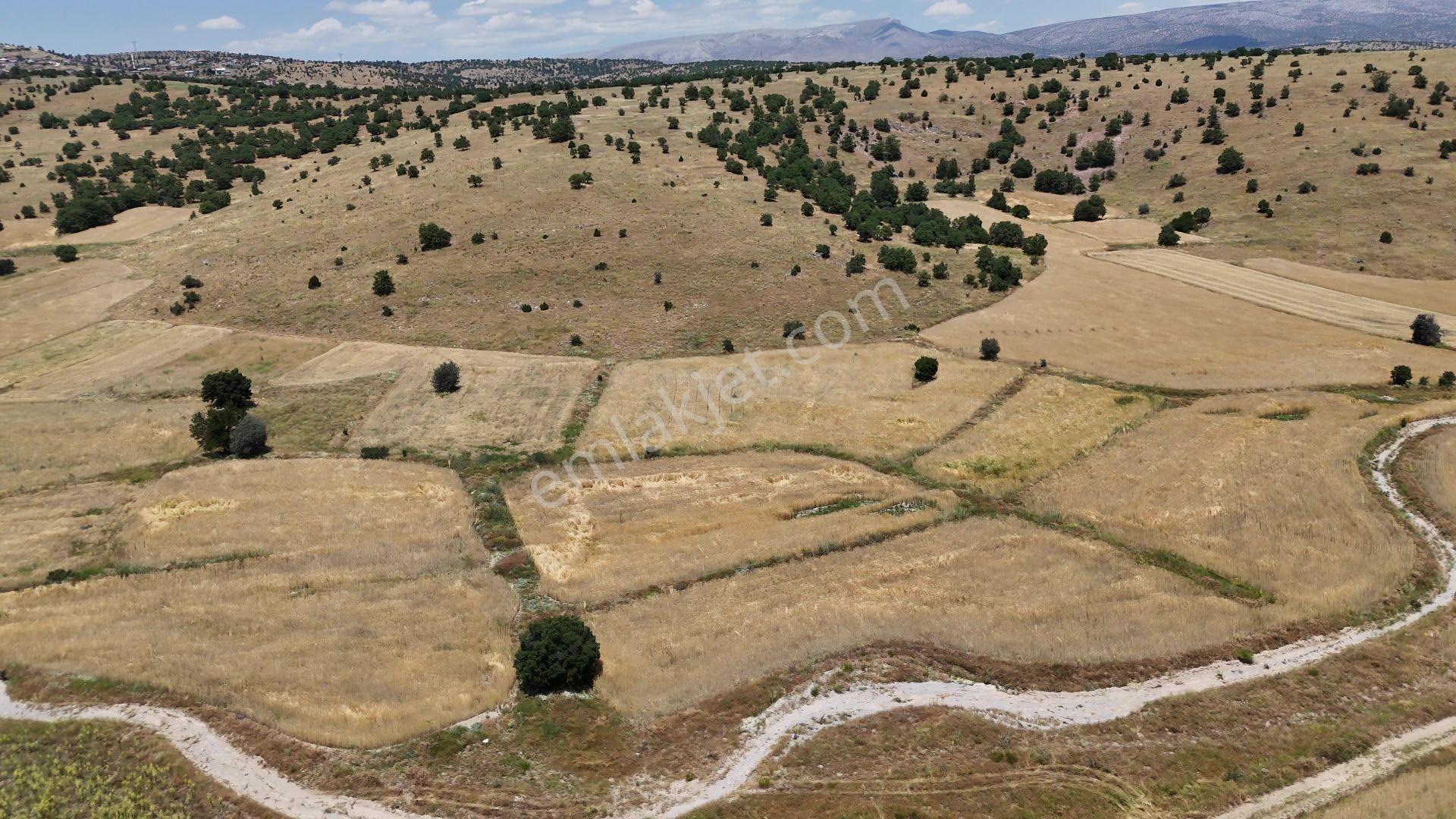 Meram Kilistra Mahallesi'nde Satılık 1549 M² Tarla — fotoğraf 7