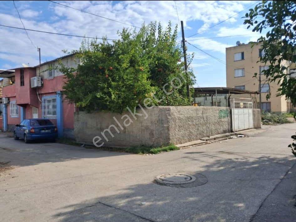 Levent Mahallesinde Geniş Bahçeli Tek Katlı Müstakil — fotoğraf 4