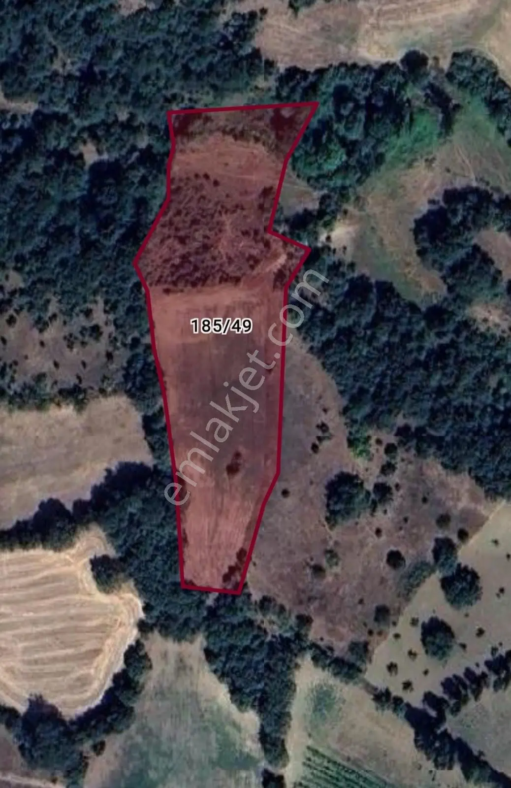 Rw Detay'Dan Söğüt Dereboyu Köyü Satılık 6,700 M2 Tarla