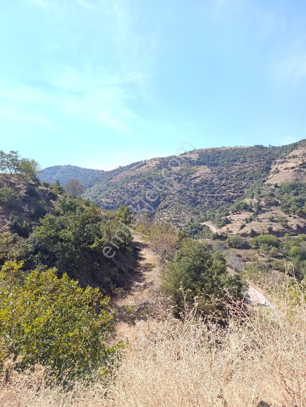 Yatırım Fırsatı!!!uygun Fiyatlı Arazi — fotoğraf 2