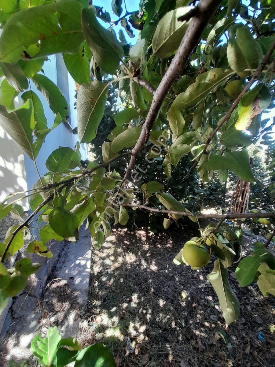 İksahomes Den Satılık Seydikemer Yayla Karaçulha'da Müstakil Ev — fotoğraf 8