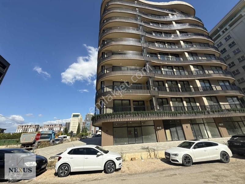 Odunluk Lena Houseta Mihraplı Parkı Karşısında Satılık 3+1 165 M — fotoğraf 3