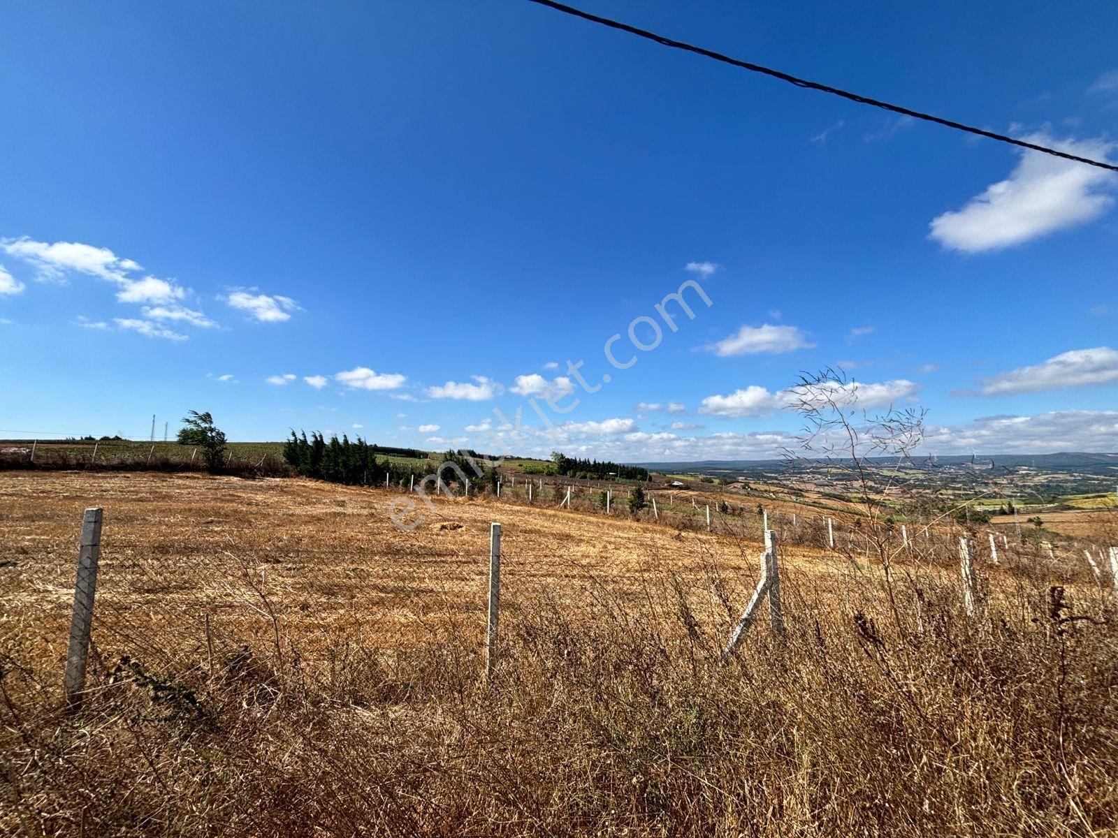 Silivri Akören Köyü Yola Yakın Tarla — fotoğraf 6