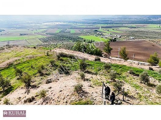 İzmir Menderes Tekeli 3 Ada 37 Parselde Manzaralı Tepe 168 Arsa — fotoğraf 4