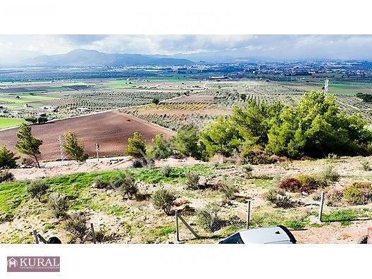 İzmir Menderes Tekeli 3 Ada 37 Parselde Manzaralı Tepe 168 Arsa — fotoğraf 6