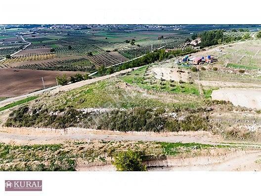 İzmir Menderes Tekeli 3 Ada 37 Parselde Manzaralı Tepe 168 Arsa — fotoğraf 9
