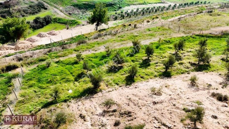 İzmir Menderes Tekeli 3 Ada 37 Parselde Manzaralı Tepe 168 Arsa — fotoğraf 11