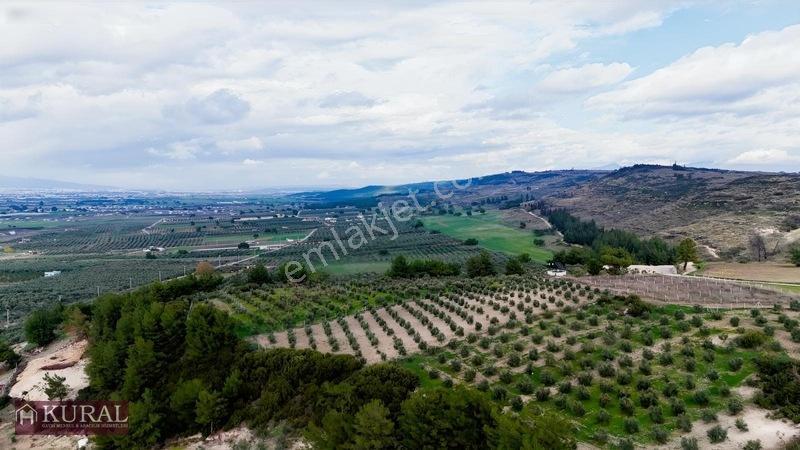 İzmir Menderes Tekeli 3 Ada 37 Parselde Manzaralı Tepe 168 Arsa — fotoğraf 19