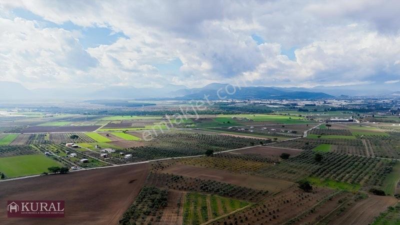 İzmir Menderes Tekeli 3 Ada 37 Parselde Manzaralı Tepe 168 Arsa — fotoğraf 22