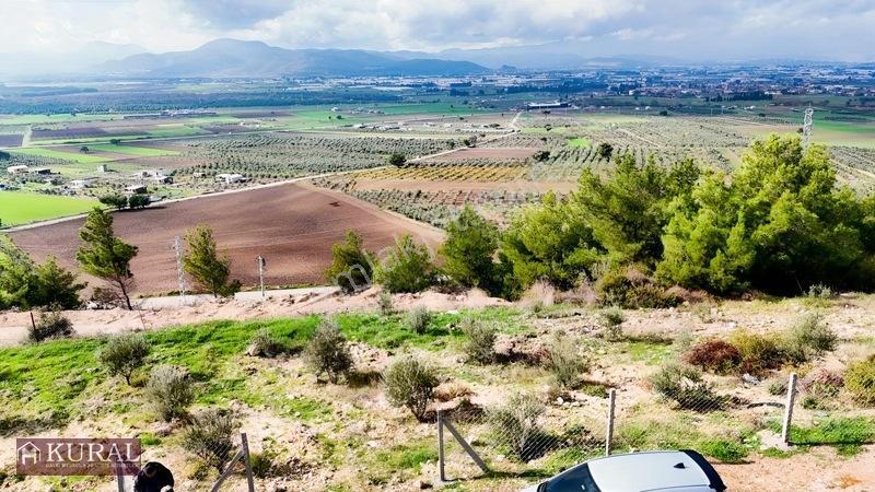 İzmir Menderes Tekeli 3 Ada 37 Parselde Manzaralı Tepe 168 Arsa — fotoğraf 24