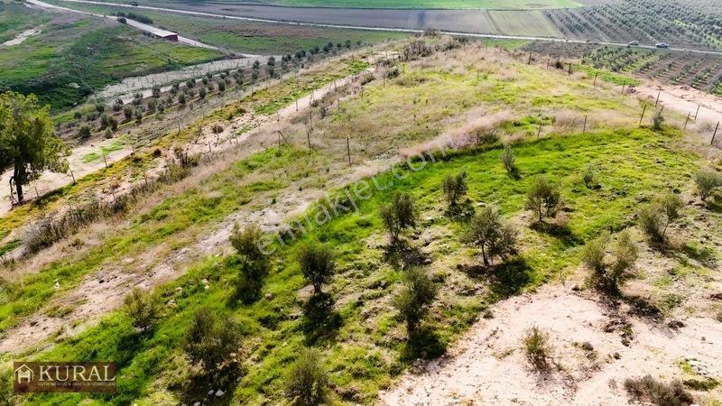 İzmir Menderes Tekeli 3 Ada 37 Parselde Manzaralı Tepe 168 Arsa — fotoğraf 26