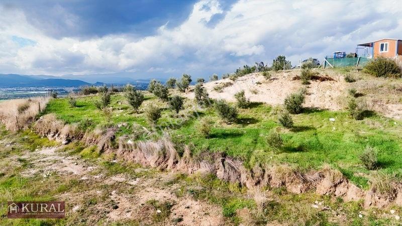 İzmir Menderes Tekeli 3 Ada 37 Parselde Manzaralı Tepe 168 Arsa — fotoğraf 30