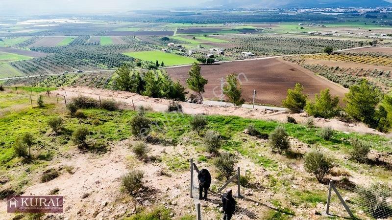 İzmir Menderes Tekeli 3 Ada 37 Parselde Manzaralı Tepe 168 Arsa — fotoğraf 33