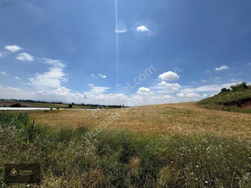 Orhangazi De Bulvar Cepheli İmar Plan İçinde Satılık Hisse — fotoğraf 2