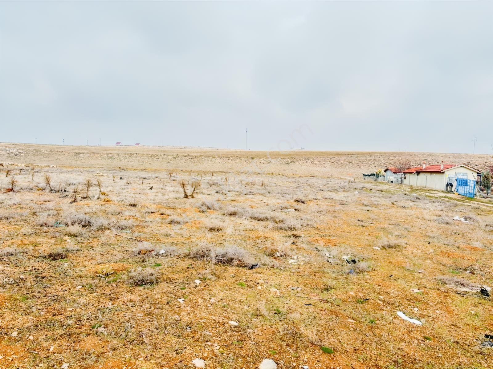Meram Gödene Mahallesinde Kaçırılmayacak Satılık Fırsat Tarla — fotoğraf 6