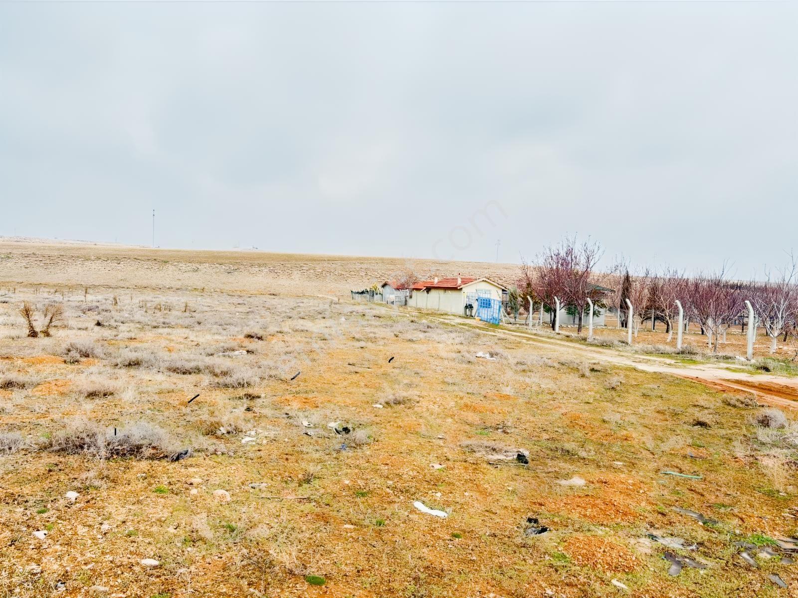 Meram Gödene Mahallesinde Kaçırılmayacak Satılık Fırsat Tarla — fotoğraf 10