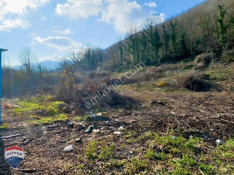 Re/Max Mavi | Arifiye E5 (D100) Cepheli | Tırsan Karşısı 4.516M² — fotoğraf 21