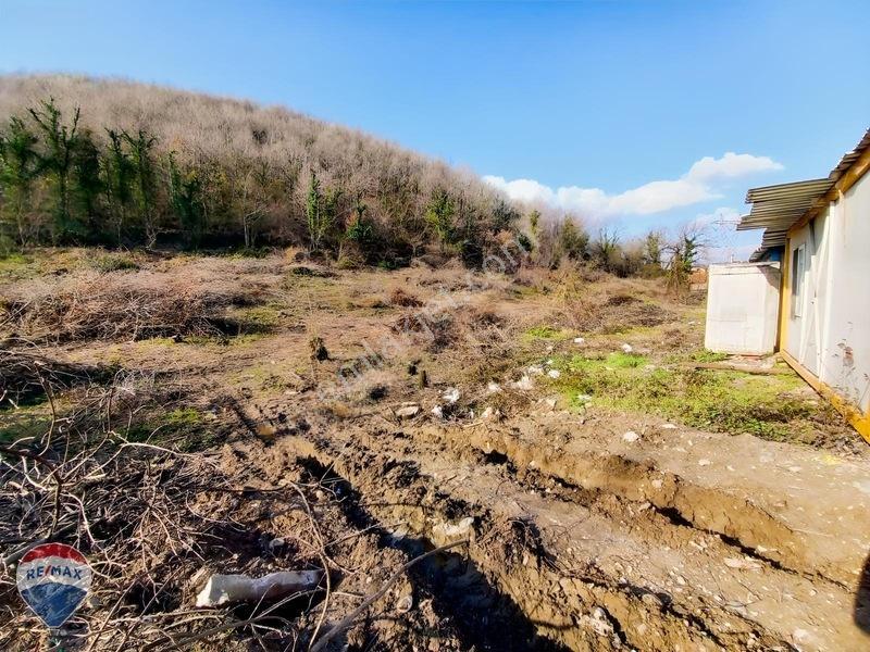 Re/Max Mavi | Arifiye E5 (D100) Cepheli | Tırsan Karşısı 4.516M² — fotoğraf 29