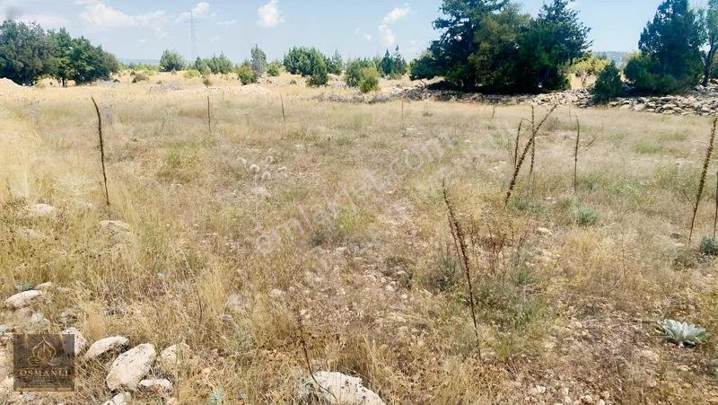 Erdemli Güneyli Mahallesi — fotoğraf 5