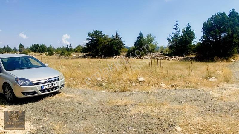 Erdemli Güneyli Mahallesi — fotoğraf 6