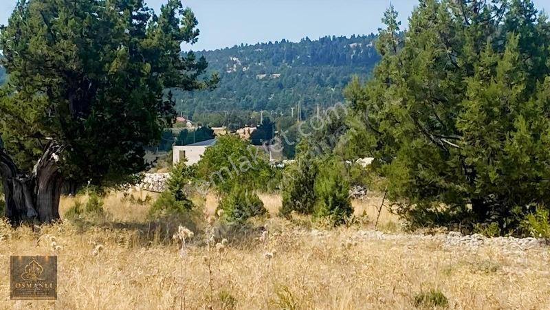 Erdemli Güneyli Mahallesi — fotoğraf 9