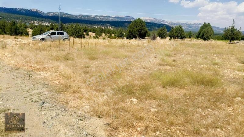 Erdemli Güneyli Mahallesi — fotoğraf 14