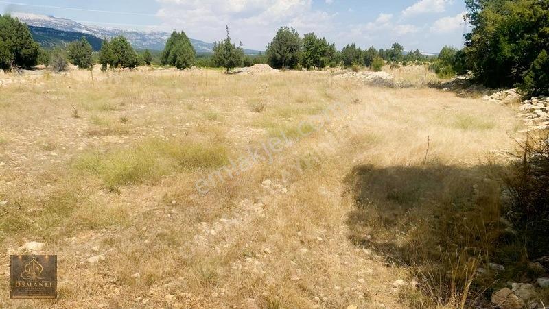 Erdemli Güneyli Mahallesi — fotoğraf 15