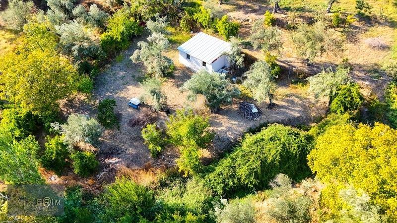 Kerim'den Altınoluk Satılık 1 Dönüm Deniz Manzaralı Zeytinlik — fotoğraf 3