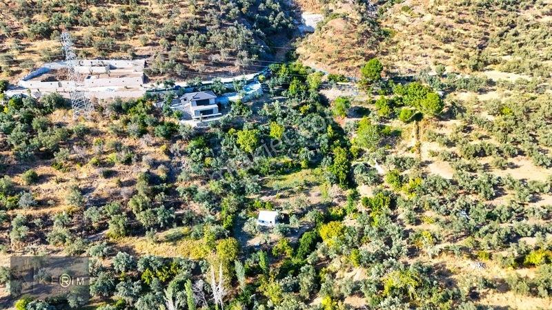 Kerim'den Altınoluk Satılık 1 Dönüm Deniz Manzaralı Zeytinlik — fotoğraf 17
