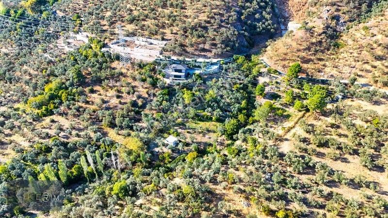 Kerim'den Altınoluk Satılık 1 Dönüm Deniz Manzaralı Zeytinlik — fotoğraf 18