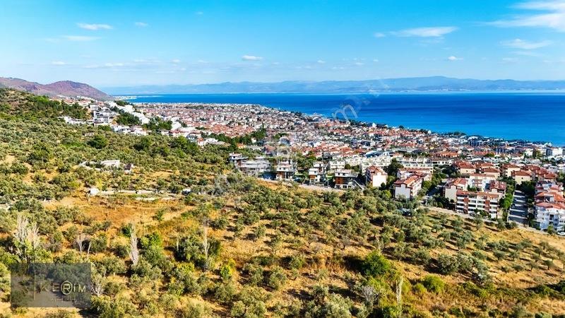 Kerim'den Altınoluk Satılık 1 Dönüm Deniz Manzaralı Zeytinlik — fotoğraf 24