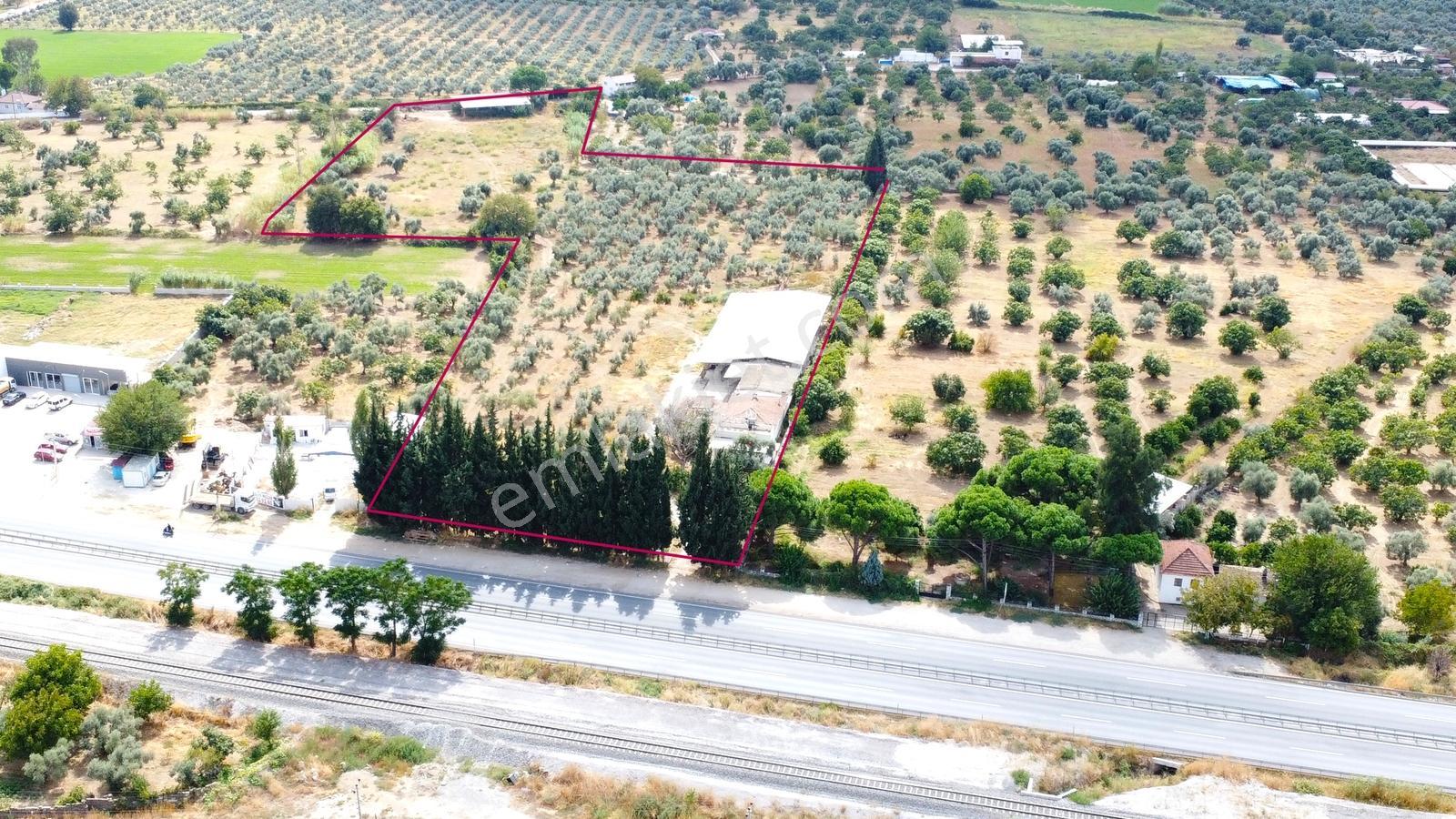 Aydın İzmir Otoyolu Üzerin De Yatırıma Oturuma Uygun Arazi — fotoğraf 3