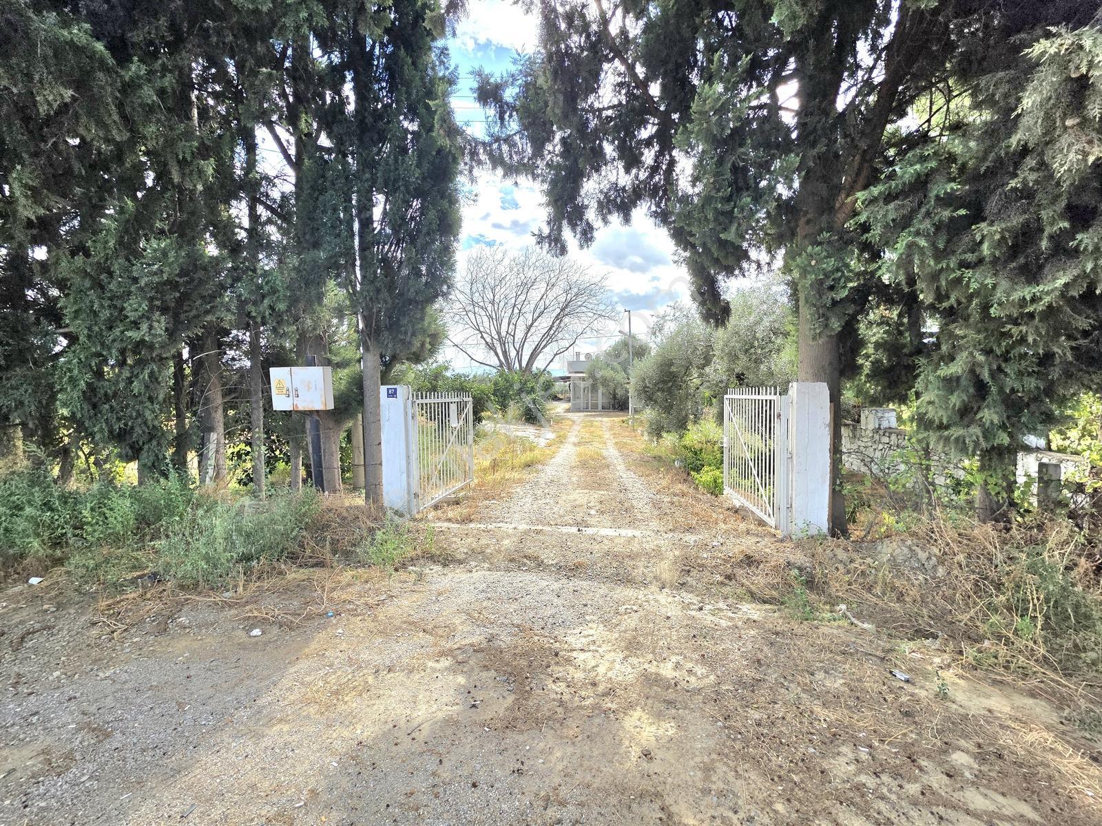 Aydın İzmir Otoyolu Üzerin De Yatırıma Oturuma Uygun Arazi — fotoğraf 6
