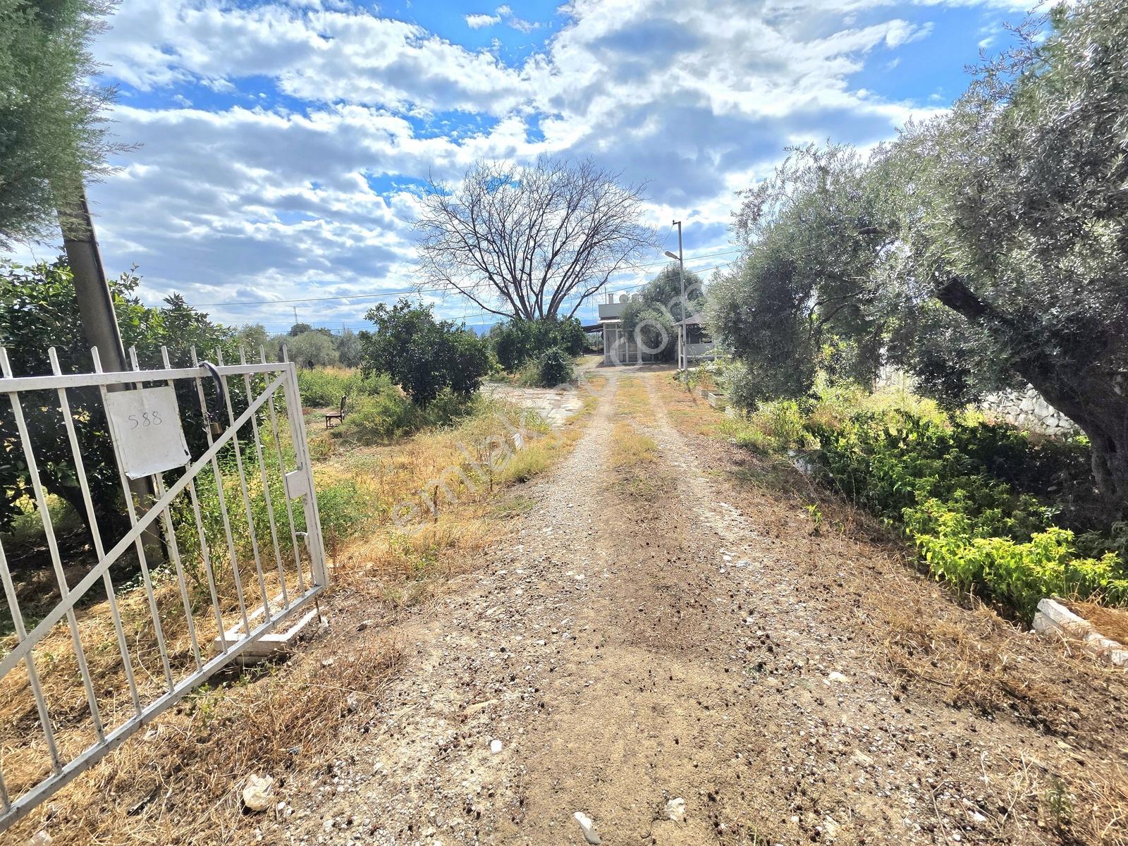 Aydın İzmir Otoyolu Üzerin De Yatırıma Oturuma Uygun Arazi — fotoğraf 7