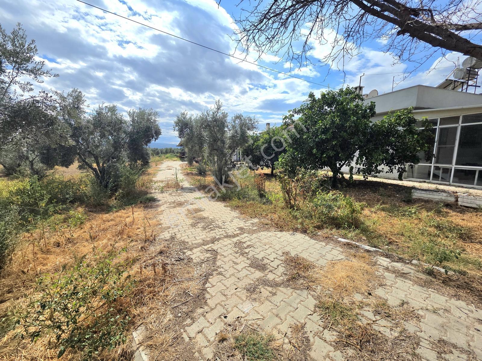 Aydın İzmir Otoyolu Üzerin De Yatırıma Oturuma Uygun Arazi — fotoğraf 11