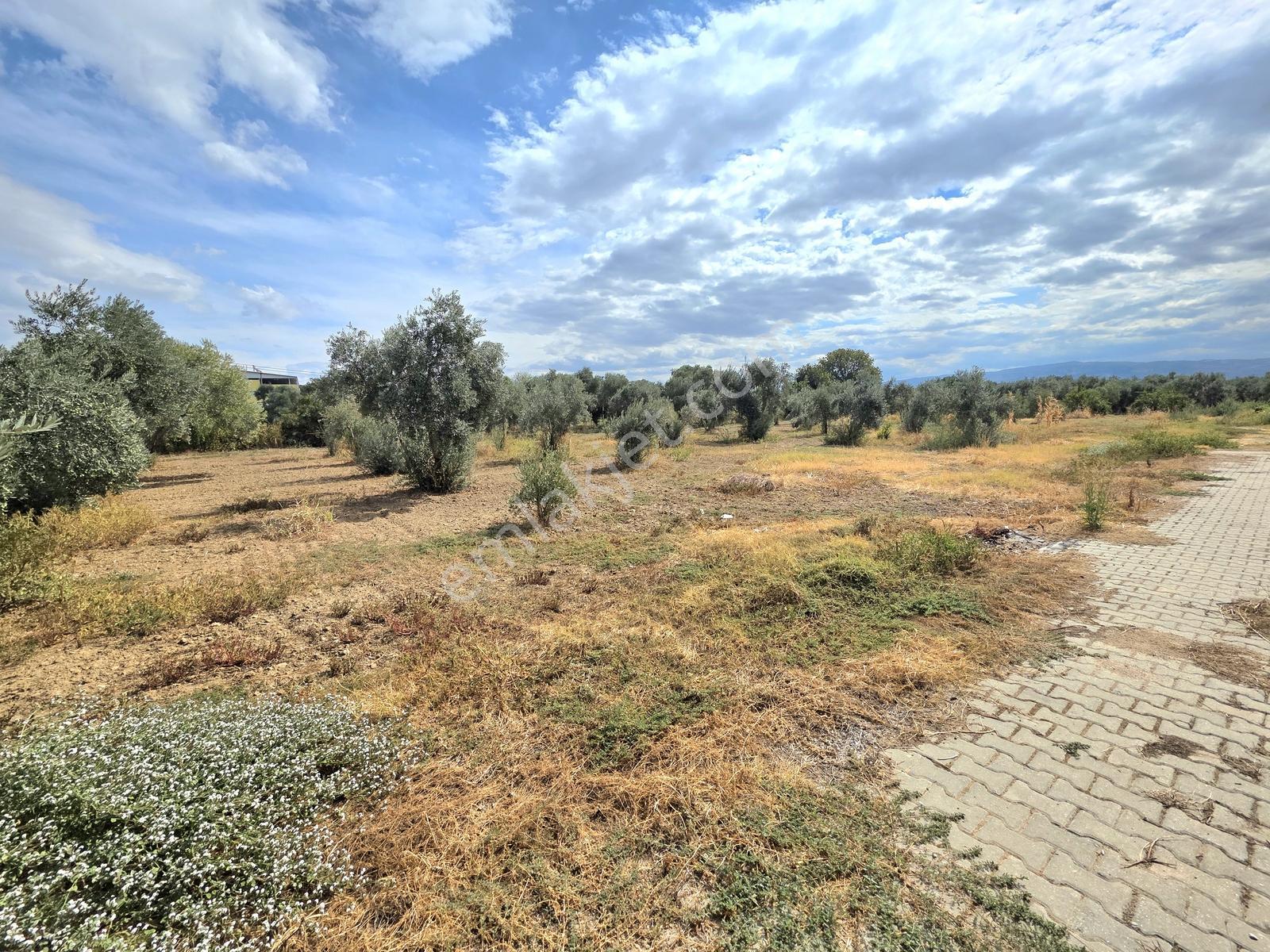 Aydın İzmir Otoyolu Üzerin De Yatırıma Oturuma Uygun Arazi — fotoğraf 12