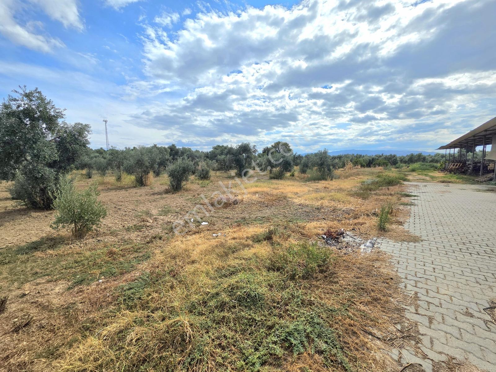 Aydın İzmir Otoyolu Üzerin De Yatırıma Oturuma Uygun Arazi — fotoğraf 14