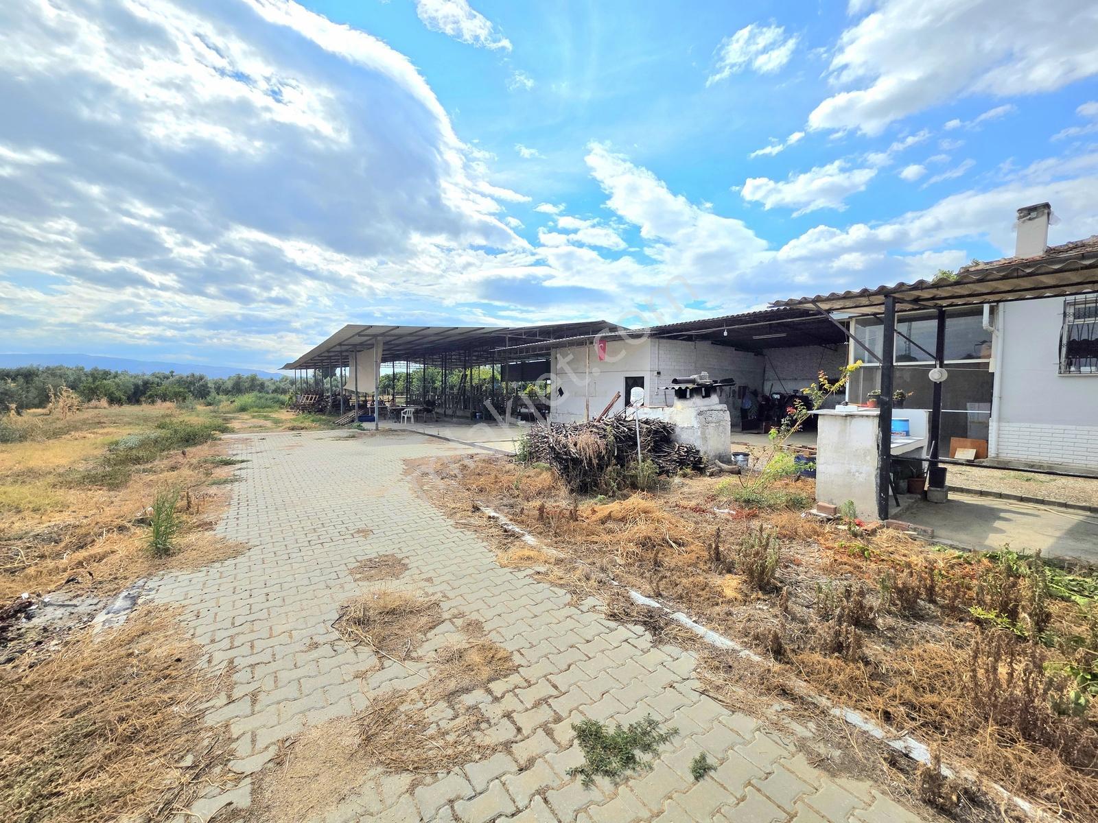 Aydın İzmir Otoyolu Üzerin De Yatırıma Oturuma Uygun Arazi — fotoğraf 15