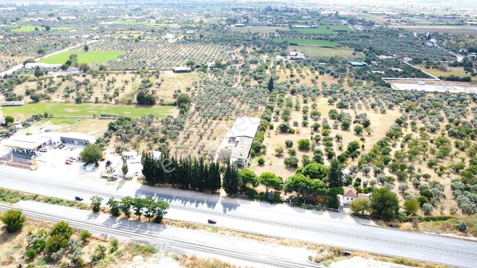 Aydın İzmir Otoyolu Üzerin De Yatırıma Oturuma Uygun Arazi — fotoğraf 20