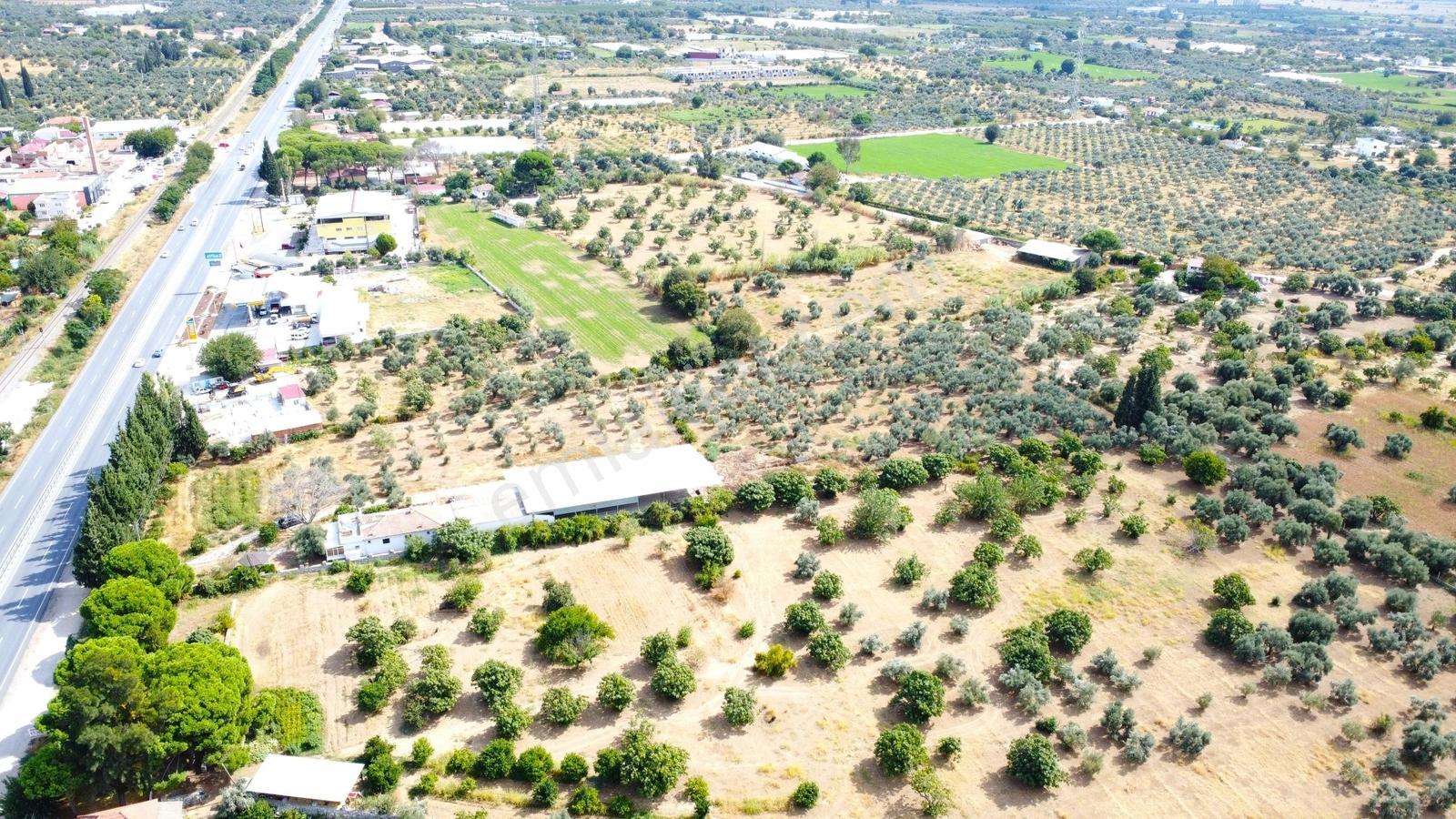 Aydın İzmir Otoyolu Üzerin De Yatırıma Oturuma Uygun Arazi — fotoğraf 22