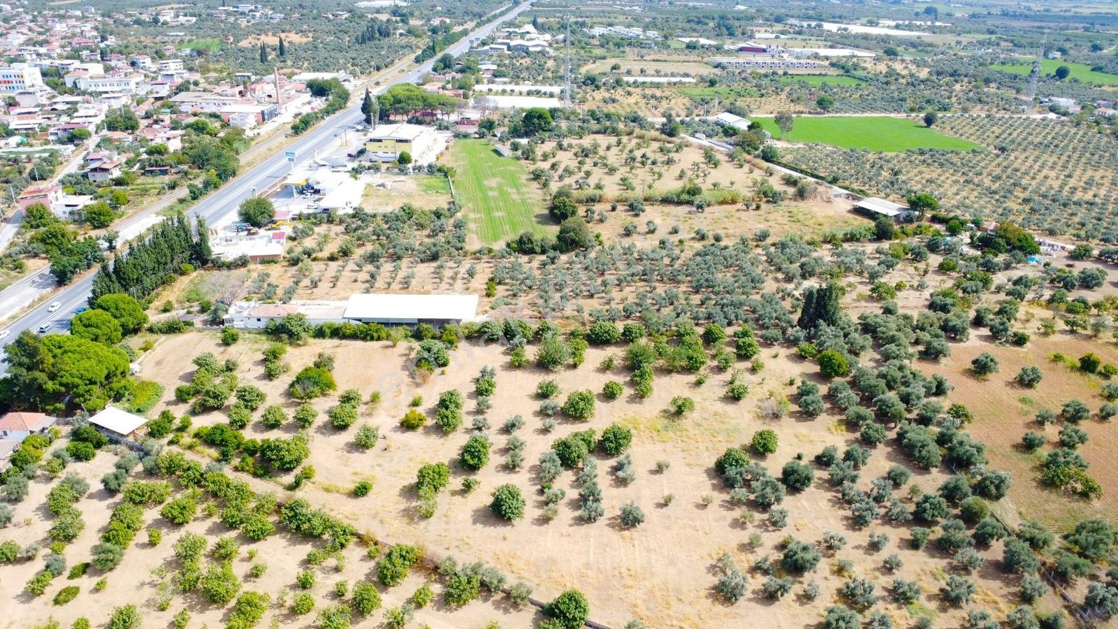 Aydın İzmir Otoyolu Üzerin De Yatırıma Oturuma Uygun Arazi — fotoğraf 23