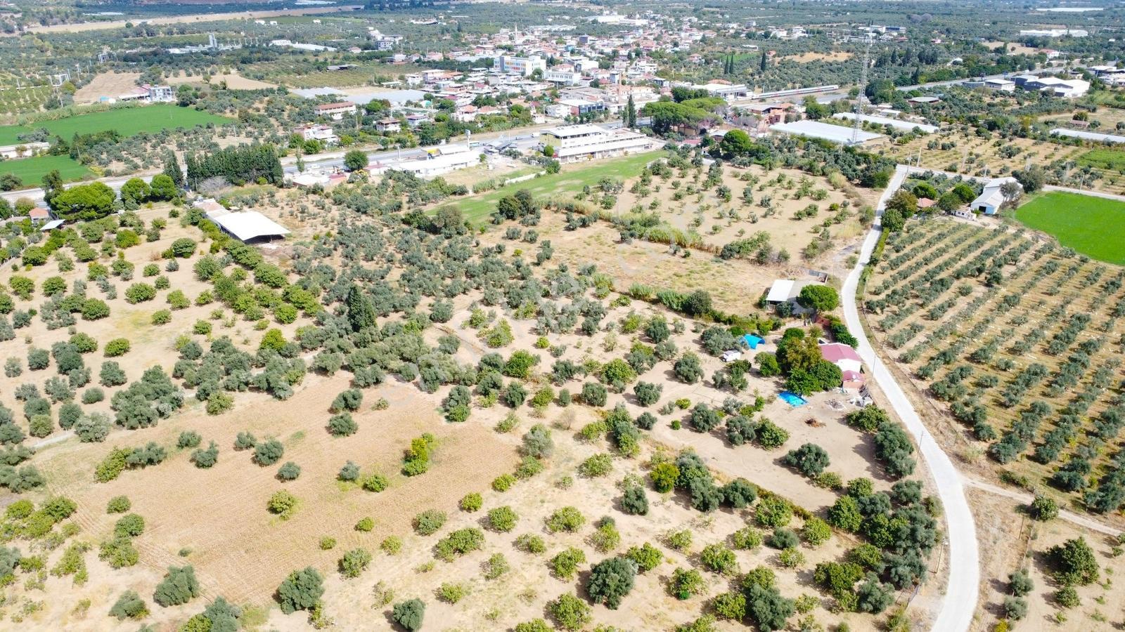Aydın İzmir Otoyolu Üzerin De Yatırıma Oturuma Uygun Arazi — fotoğraf 24