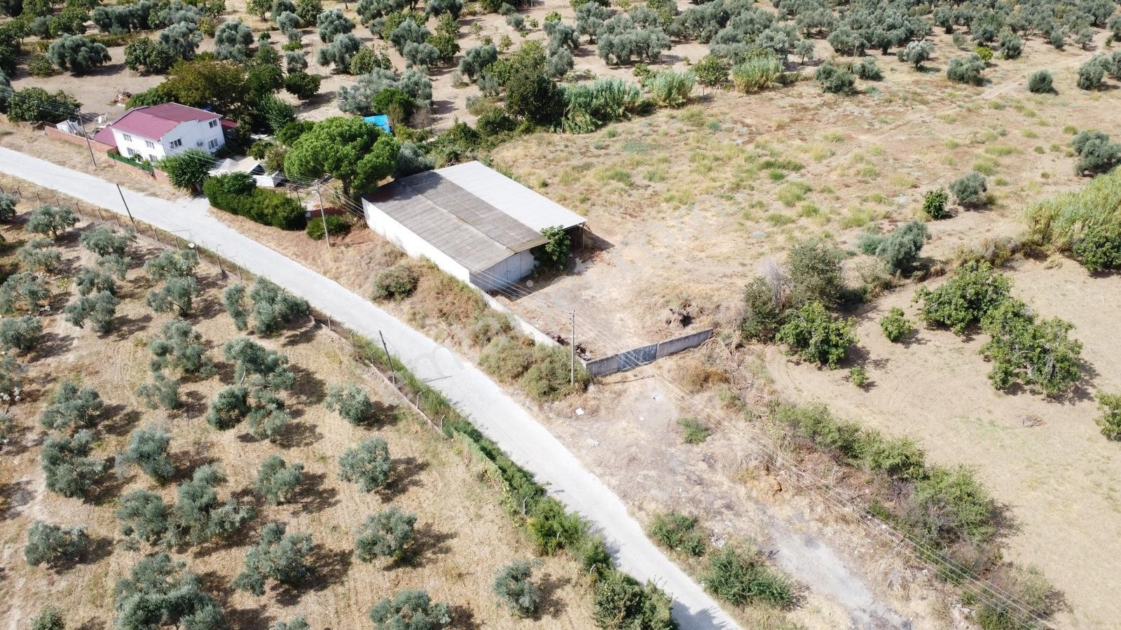 Aydın İzmir Otoyolu Üzerin De Yatırıma Oturuma Uygun Arazi — fotoğraf 27