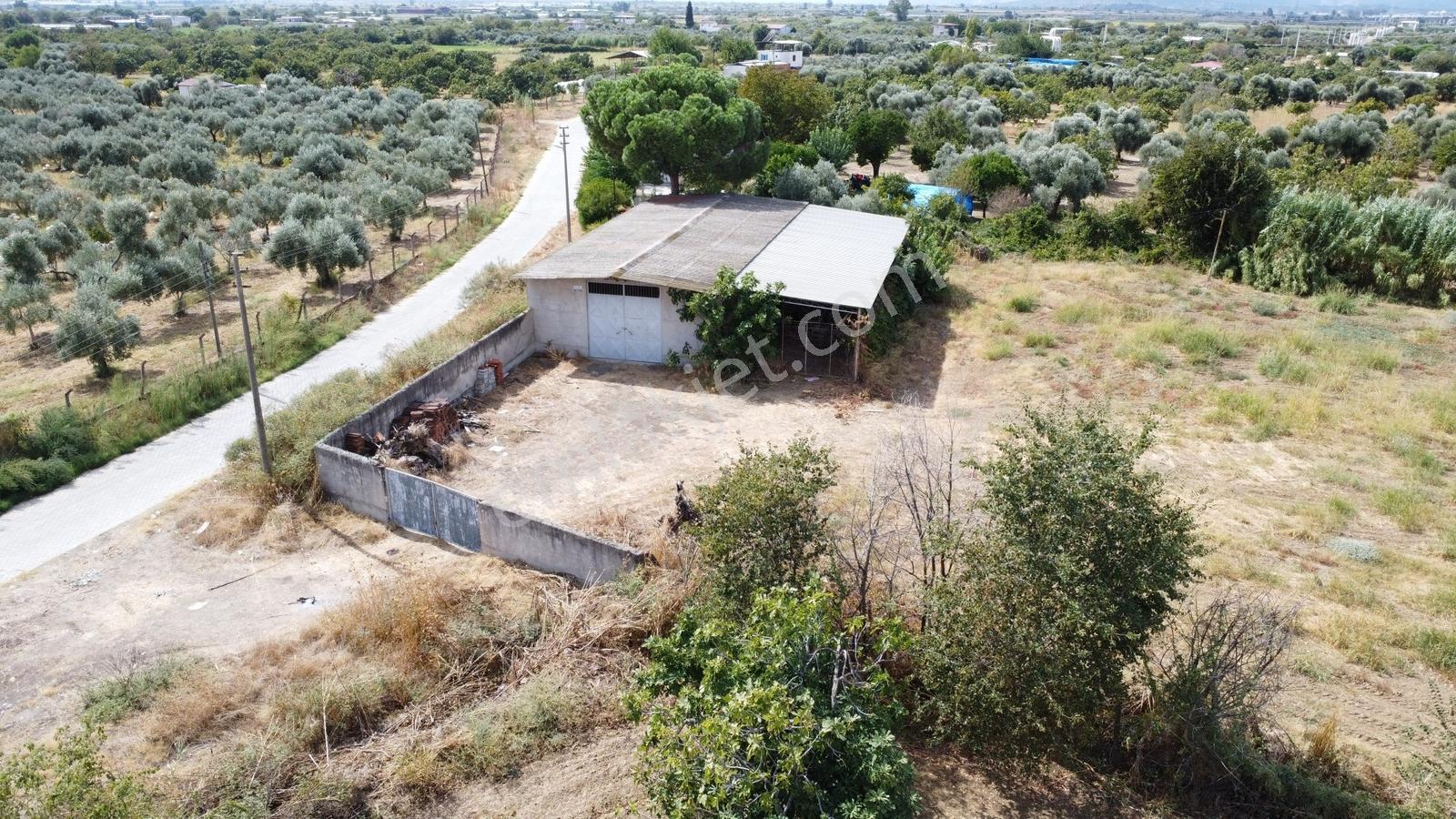 Aydın İzmir Otoyolu Üzerin De Yatırıma Oturuma Uygun Arazi — fotoğraf 28