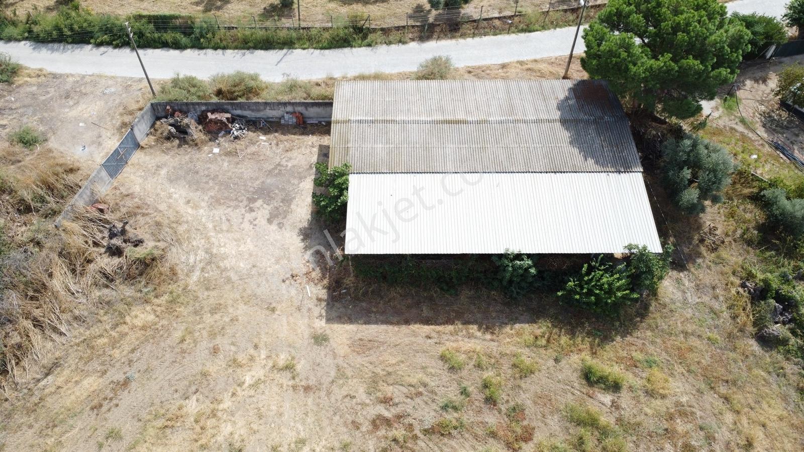 Aydın İzmir Otoyolu Üzerin De Yatırıma Oturuma Uygun Arazi — fotoğraf 30