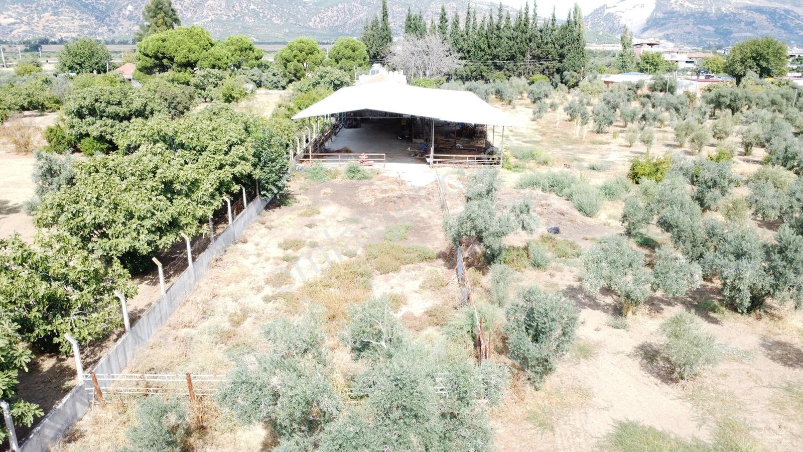 Aydın İzmir Otoyolu Üzerin De Yatırıma Oturuma Uygun Arazi — fotoğraf 32