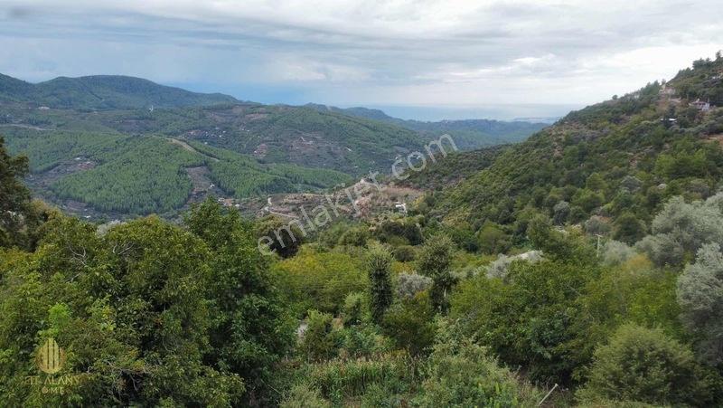 Yola 2. Parsel Full Deniz Manzaralı Masrafsız Kelepir Tarla — fotoğraf 3