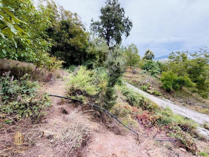 Yola 2. Parsel Full Deniz Manzaralı Masrafsız Kelepir Tarla — fotoğraf 4