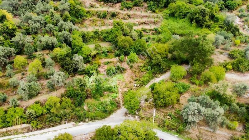 Yola 2. Parsel Full Deniz Manzaralı Masrafsız Kelepir Tarla — fotoğraf 7